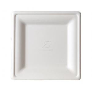 Medium Square Sugarcane Plate