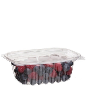 CONTAINER/ Translucent Plastic Deli Container and Lid Combo Pack, 12 o –  Croaker, Inc